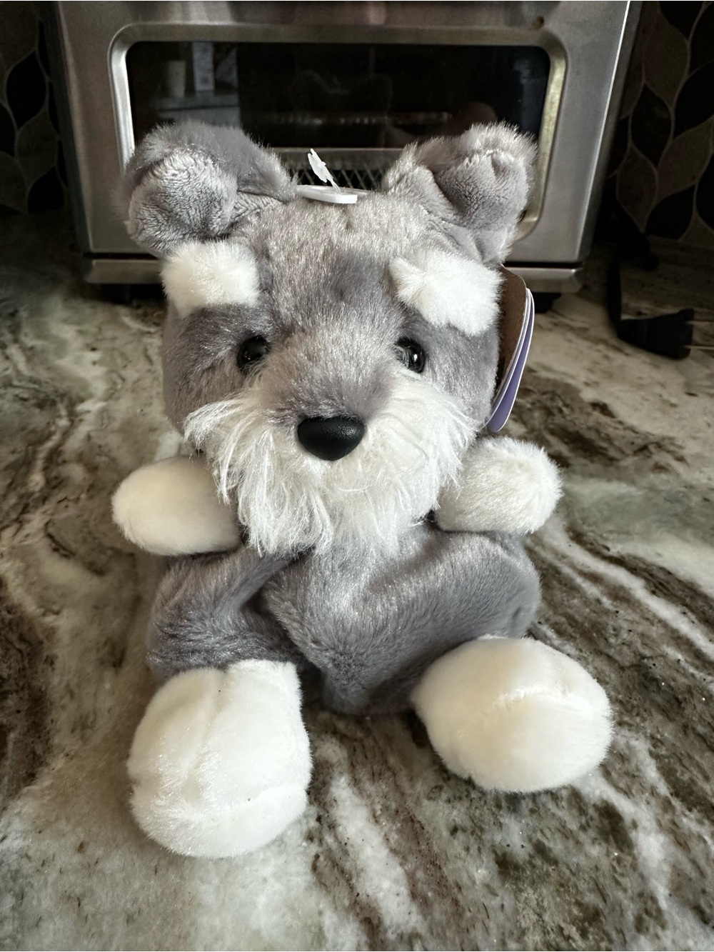 Korra Schnauzer Palm Pal